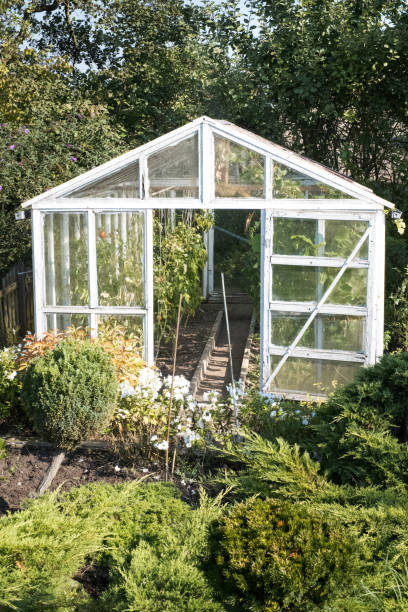 istock A small greenhouse in the garden. 2173069118