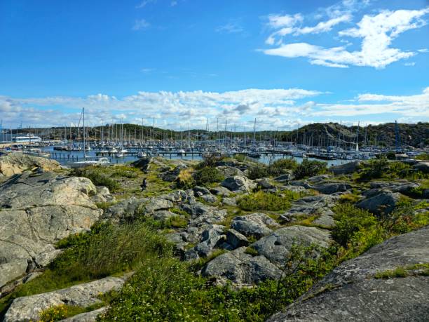 Gotheborg seaside with several sealboats, captured during summer season.