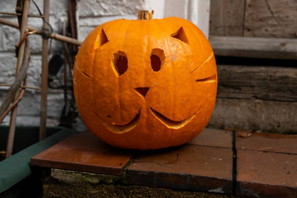 A freshly carved Halloween pumpkin featuring a cute kitten face sits illuminated in the front yard of a London house. This charming jack-o'-lantern adds a playful and lighthearted touch to the outdoor Halloween decorations, making it an adorable display for October.