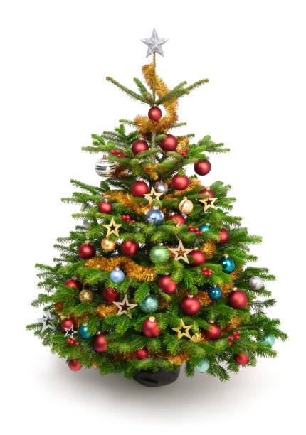 istock Delightful Christmas tree with colorful ornaments isolated on white 2173073974