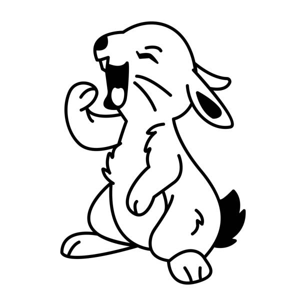 Yawning Rabbit Png 40+ Yawning Bunny Stock Illustrations, Royalty-Free Vector Graphics ...