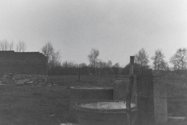istock water barrel on a farm 2173075161