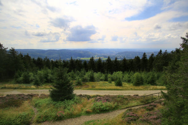 Mountain panorama with expansive views, distant horizons, and a peaceful natural environment in the Thuringian forest.