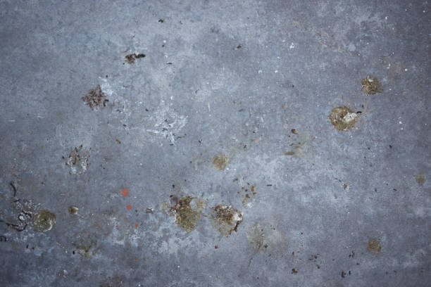 istock Birds droppings poop on the cement floor 2173078151
