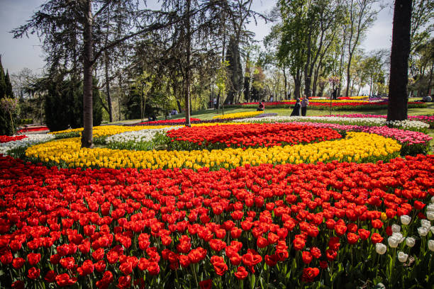 istock Traditional best photo from Turkey 2173079102