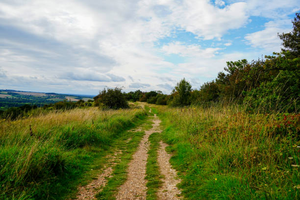 Low angle view down a footpath in the countryside