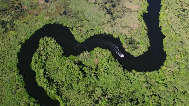 istock A winding river within the Pantanal 2173084693