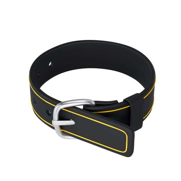 istock Rendering of lifting belt icons. Vector 3d illustration on isolated white background 2173084984