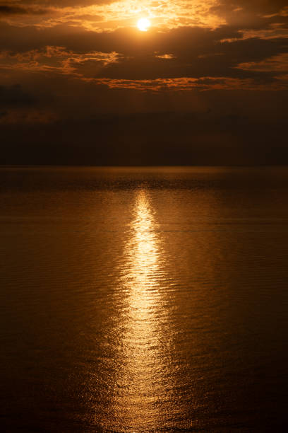 The golden light of the setting sun is reflecting on the surface of the calm ocean water