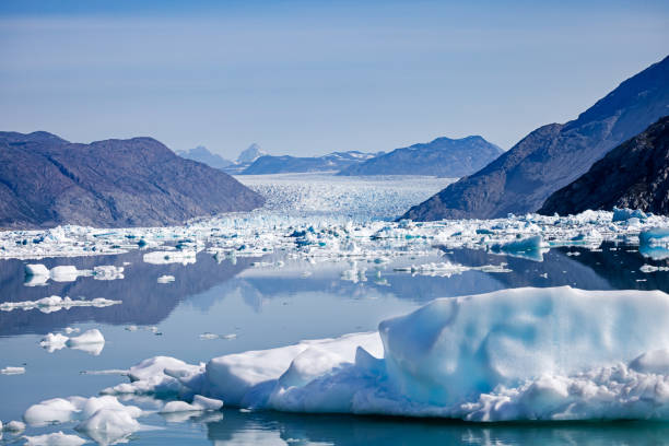 istock Ice floe in front of a glazier 2173093818