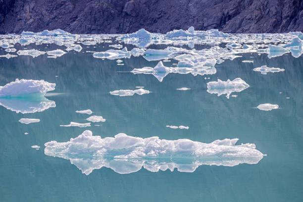 istock Ice floe in a fjord 2173095097