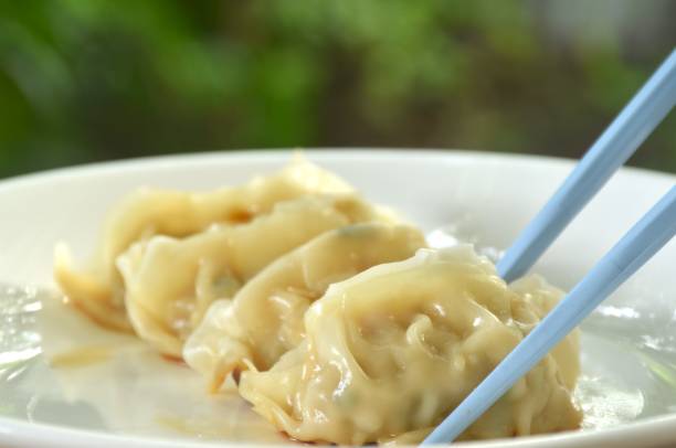 istock Gyoza stuffed mixed mushed pork and chicken in bue chopsticks 2173095684