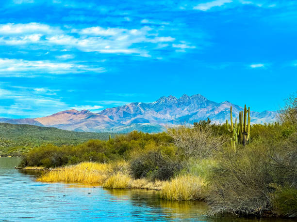 istock Beauty in the desert 2173095790