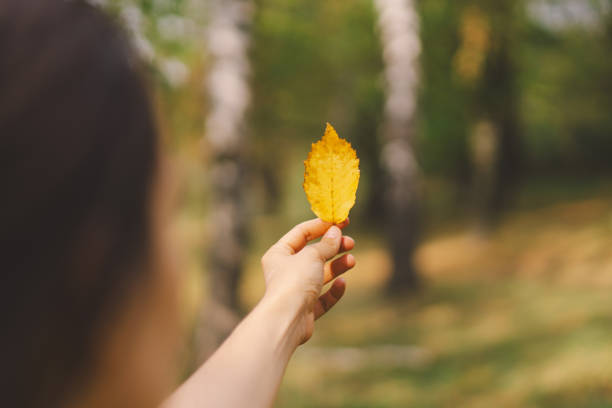A woman enjoys a sunny autumn day while playfully holding a yellow leaf in a park, surrounded by colorful foliage