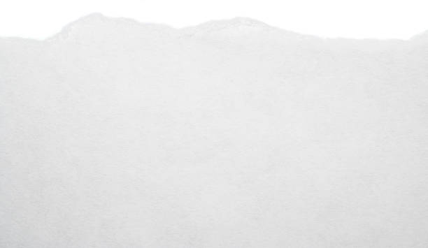 istock Sheet of white paper with torn edges isolated on a white background. 2173100505