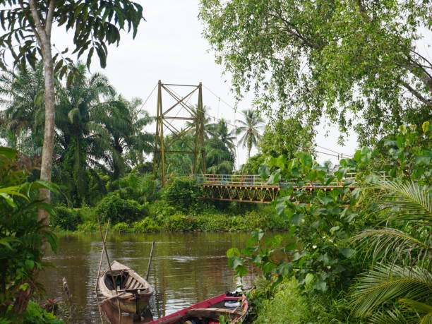 istock Suspension Bridge on the Mentaya River 2173104869