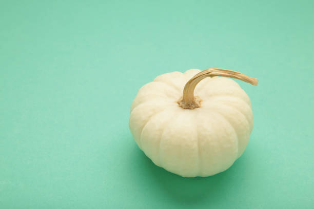 colorful ripe pumpkins on a white wooden background