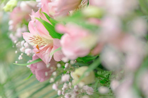 Pink lilies and green bouquet