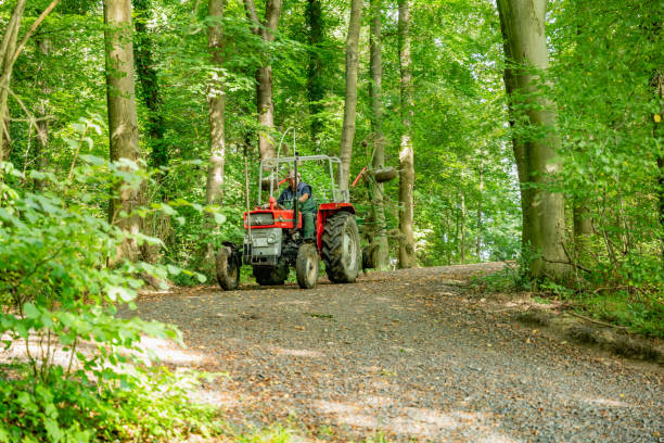A tractor navigating the forest trail in the Siebengebirge area, showing forest maintenance work in progress near Klosterruine Heisterbach.