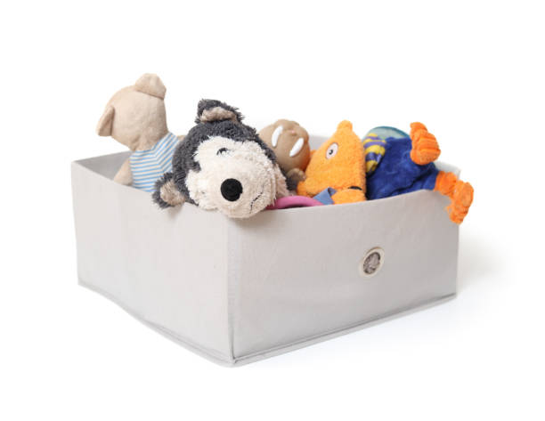 istock Dog toys in storage box. 2173156622