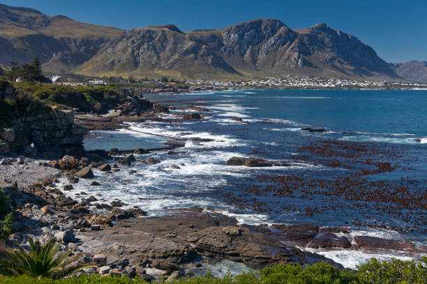 istock The Hermanus  coastline 2173158434