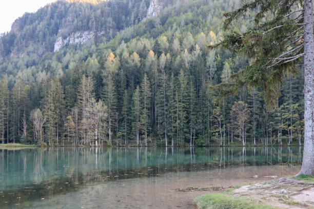 istock Lake Mirroring The Forest On A Sunny Autumn Afternoon 2173160142