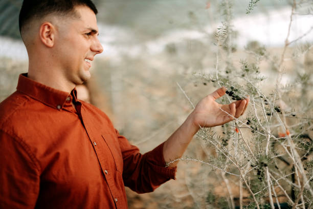 istock Man looks at goji berries 2173160329