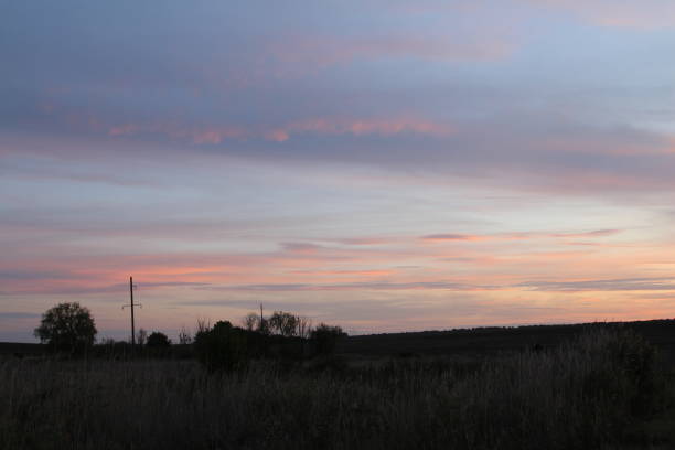 A field of grass and trees. Sky. Outdoor. Grass. Field. Sunset