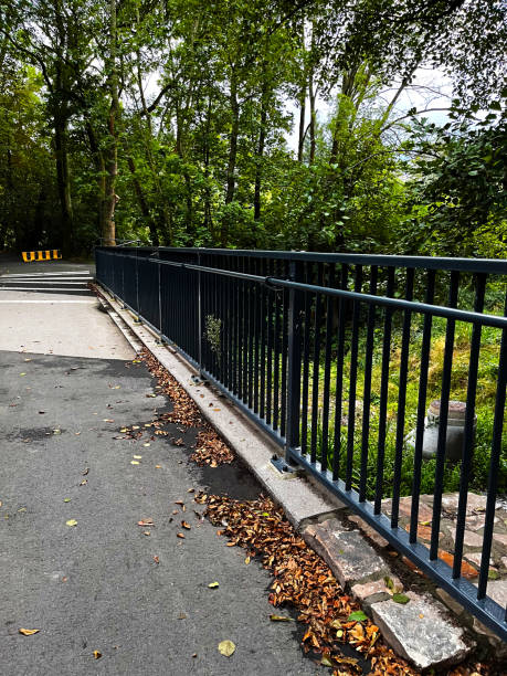 istock path over a bridge with iron fence surrounded by trees 2173163111