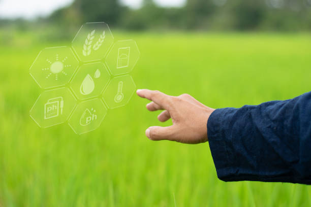 istock Agricultural intelligence, agricultural science and technology, establish sustainable agricultural production, reduce unnecessary costs and maximize profits. 2173166763