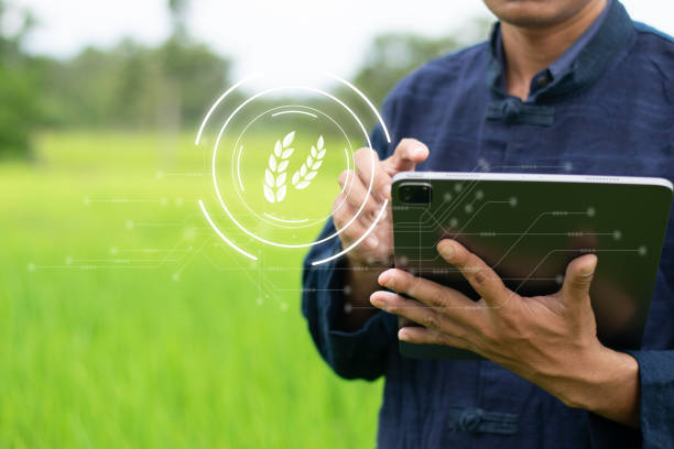 istock Intelligent agricultural technology controlled and directed through wireless networks 2173166766
