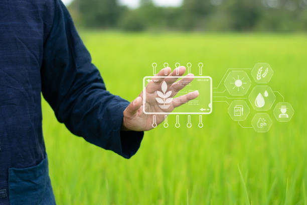 istock Intelligent agriculture is controlled and commanded by wireless network, which can realize the sustainable development of agriculture, reduce unnecessary costs and maximize profits. 2173166779