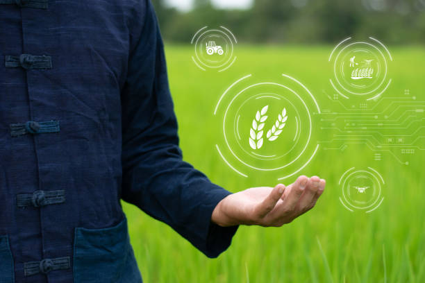 istock Smart agriculture achieves sustainable agriculture through wireless network control and command, reducing unnecessary costs and increasing profits. 2173166795