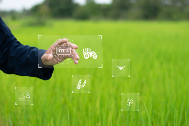 istock Smart agriculture is controlled and commanded via wireless network systems for sustainable agriculture, reducing unnecessary costs and increasing profits. 2173166816