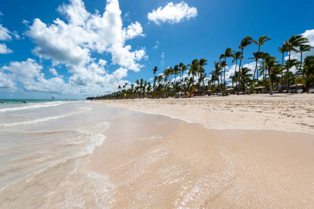 istock Punta Cana beach. Dominican Republic 2173168709