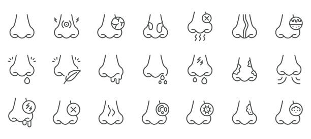 Nose and Nasal Conditions Icon Set. Thin Line Vector Symbols of Congestion, Sinusitis, Infection, Allergies, Polyps, Dryness, Runny Nose, Nasal Pain, Bad Smell, Nasal Infection and Respiratory Issue