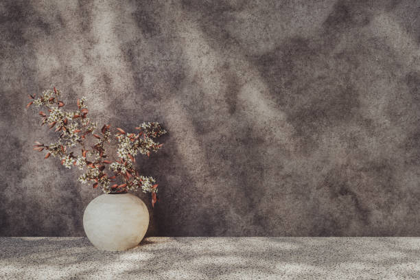 istock Empty sunlit room with potted plants 2173184974