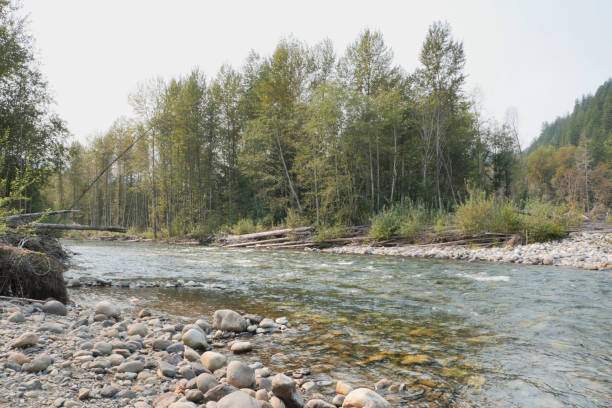 istock Chilliwack River in Chilliwack, British Columbia 2173185992