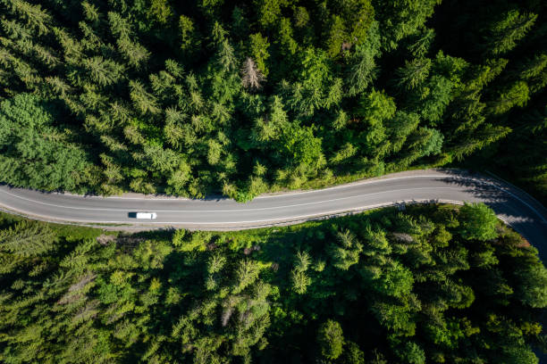 istock White car on forest road, top view 2173186139
