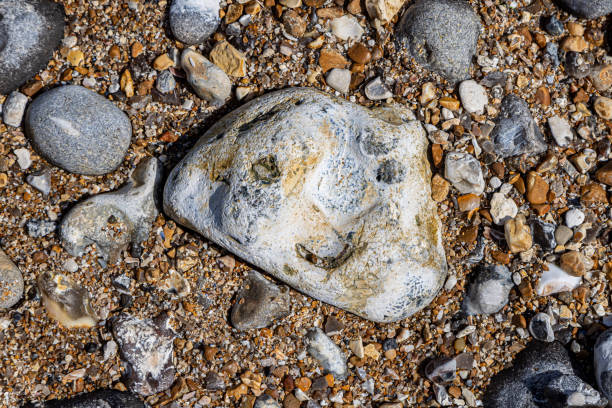A rock on a beach in Sussex, with markings looking like a face