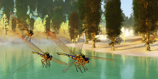 Meganeura was a large carnivorous dragonfly that lived in Europe during the Carboniferous Period.