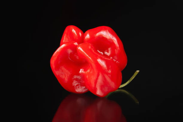 Hot pepper. Close-up of red hot pepper reflected on black background