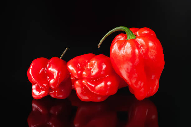 Red pepper close-up shot