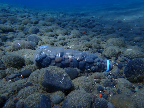 istock Plastic bottle filled with small pebbles on the seabed. Sea pollution. Aegean Sea 2173205736