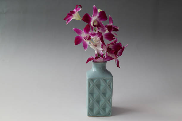 istock Purple Orchid in a vase isolated on a gray background. 2173206091