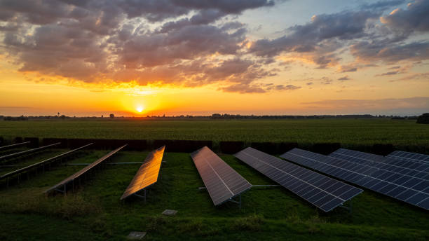 istock Photovoltaic field 2173207170