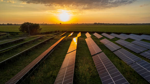 istock Photovoltaic field 2173207172