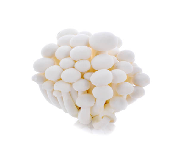 istock White beech mushrooms, Shimeji mushroom, Edible mushroom isolated on white background 2173225270
