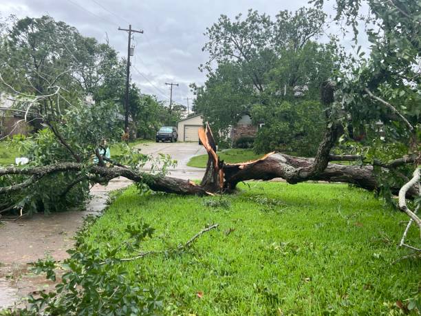 istock Storm damage in residential area 2173245611