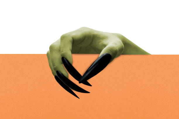 Witch hands with black nails holding a board on a white background. Empty board for copy space. The nails are long and sharp. The image has a creepy and unsettling mood, a horror or Halloween decoration